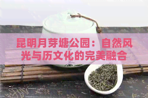 昆明月芽塘公园：自然风光与历文化的完美融合