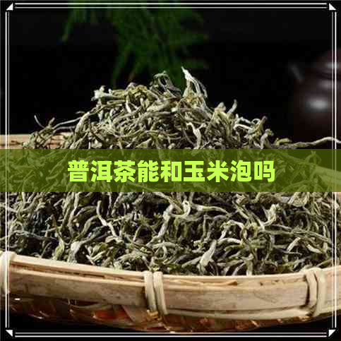 普洱茶能和玉米泡吗