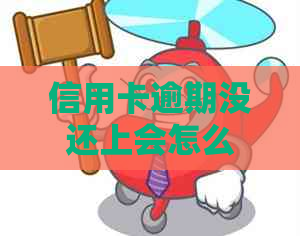 信用卡逾期没还上会怎么办如何解决