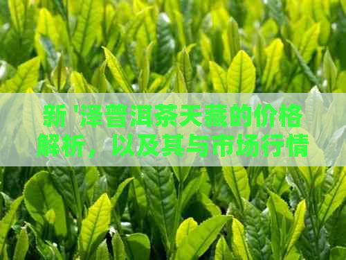 新 '泽普洱茶天藏的价格解析，以及其与市场行情的对比'