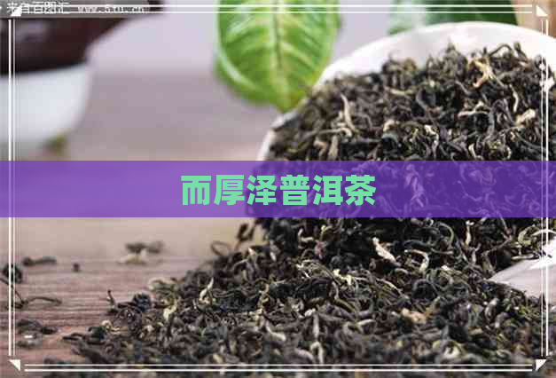 而厚泽普洱茶