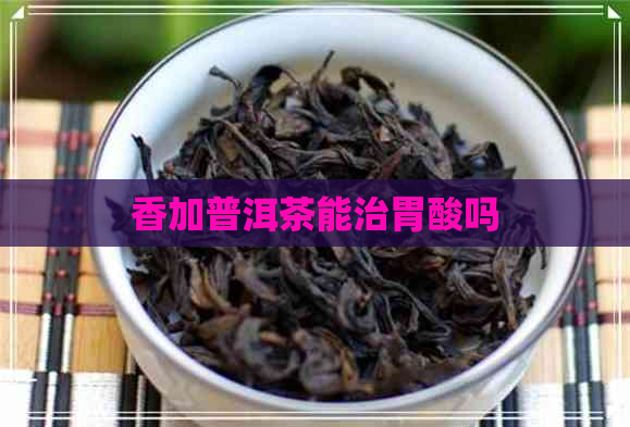 香加普洱茶能治胃酸吗