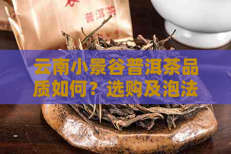 云南小景谷普洱茶品质如何？选购及泡法指南，全方位解答您的疑问