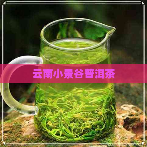 云南小景谷普洱茶