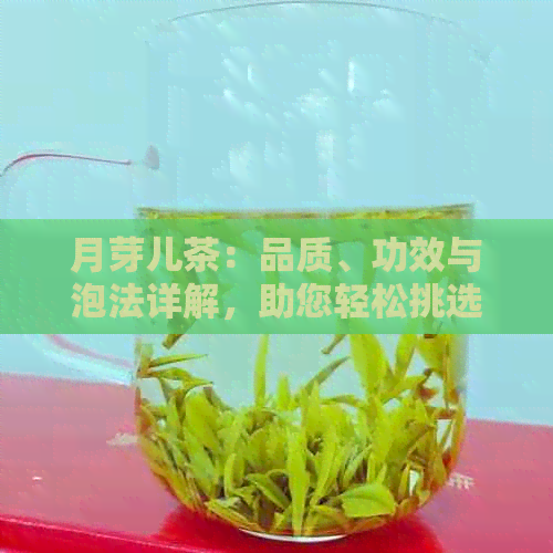 月芽儿茶：品质、功效与泡法详解，助您轻松挑选和饮用