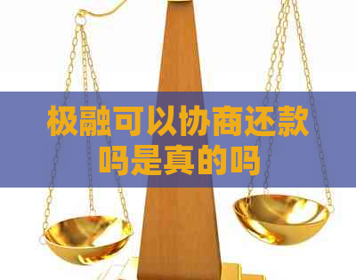 极融可以协商还款吗是真的吗