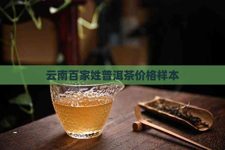 云南百家姓普洱茶价格样本