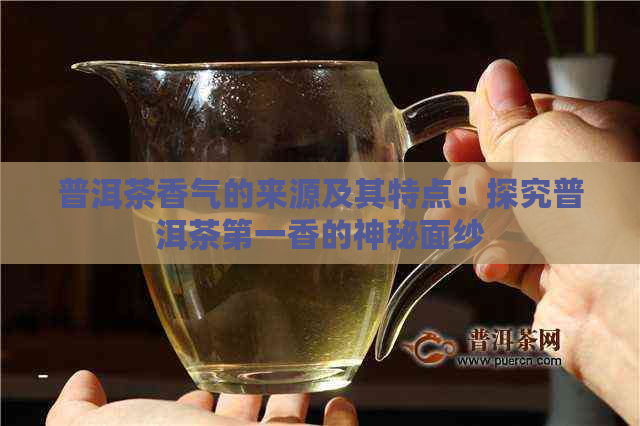 普洱茶香气的来源及其特点：探究普洱茶之一香的神秘面纱