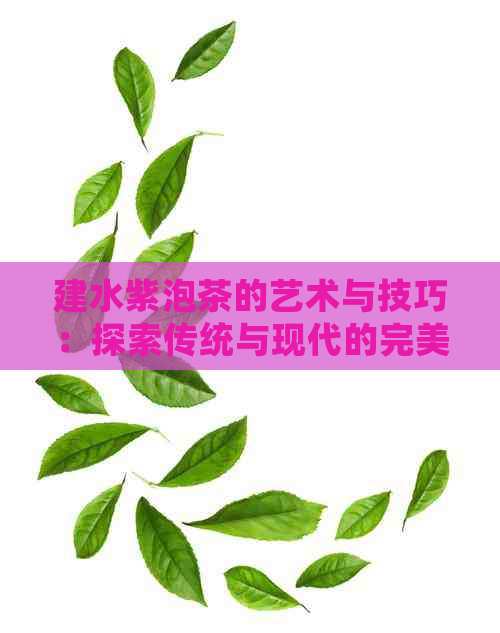 建水紫泡茶的艺术与技巧：探索传统与现代的完美融合