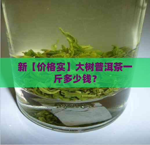 新【价格实】大树普洱茶一斤多少钱？