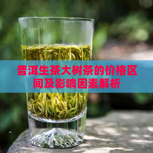 普洱生茶大树茶的价格区间及影响因素解析