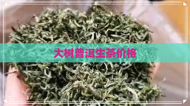 大树普洱生茶价格