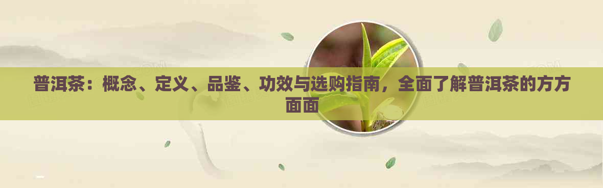 普洱茶：概念、定义、品鉴、功效与选购指南，全面了解普洱茶的方方面面