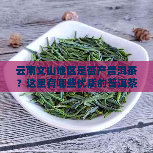 云南文山地区是否产普洱茶？这里有哪些优质的普洱茶和购买渠道？