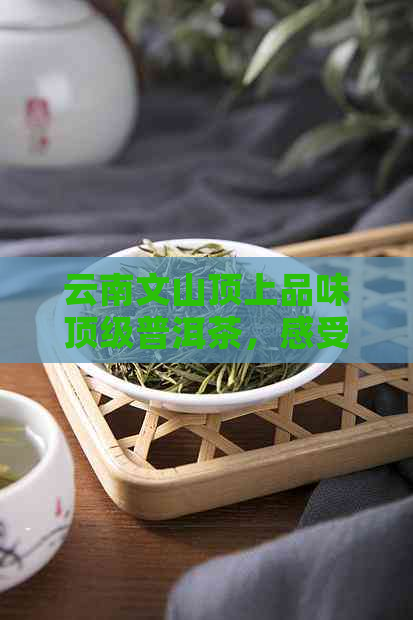 云南文山顶上品味顶级普洱茶，感受茶文化魅力