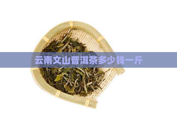 云南文山普洱茶多少钱一斤