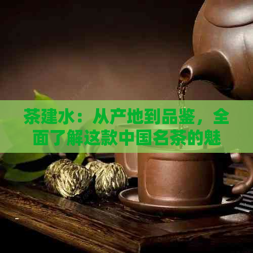 茶建水：从产地到品鉴，全面了解这款中国名茶的魅力与制作方法