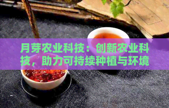 月芽农业科技：创新农业科技，助力可持续种植与环境保护