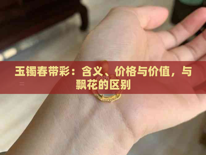 玉镯春带彩：含义、价格与价值，与飘花的区别