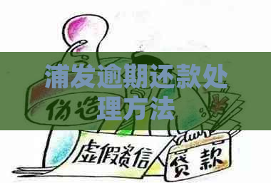 浦发逾期还款处理方法