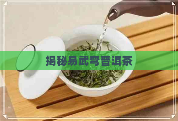 揭秘易武弯普洱茶