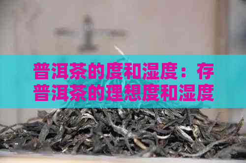 普洱茶的度和湿度：存普洱茶的理想度和湿度是多少？