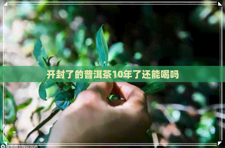 开封了的普洱茶10年了还能喝吗