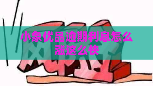 小象有品逾期利息怎么涨这么快