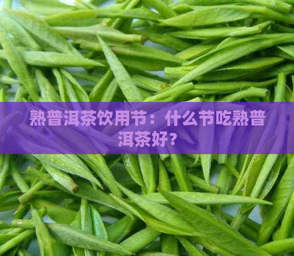 熟普洱茶饮用节：什么节吃熟普洱茶好？