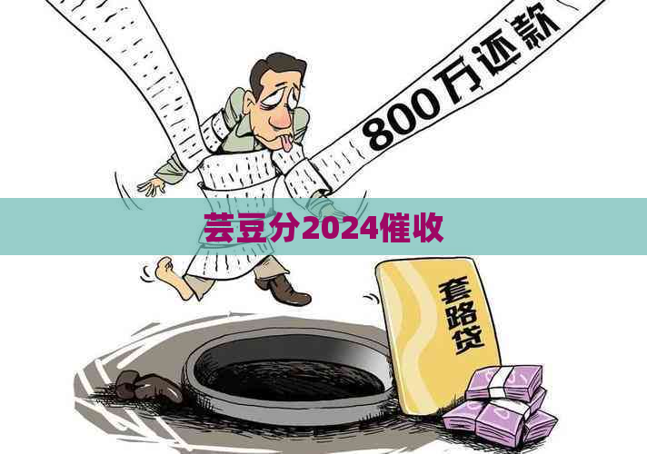 芸豆分2024