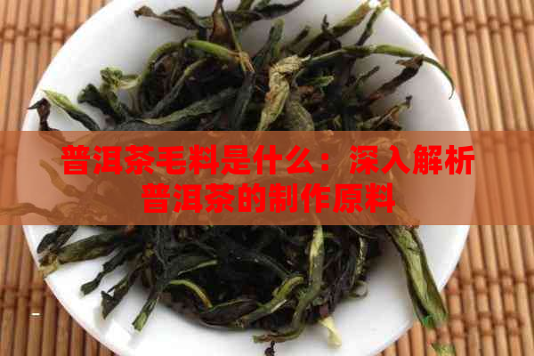 普洱茶毛料是什么：深入解析普洱茶的制作原料