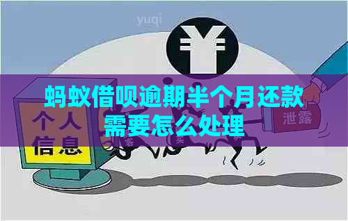 蚂蚁借呗逾期半个月还款需要怎么处理