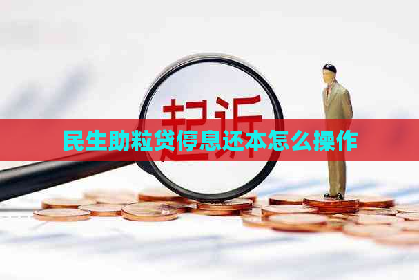 民生助粒贷停息还本怎么操作