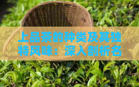 上品茶的种类及其独特风味：深入剖析名茶背后的品质奥秘