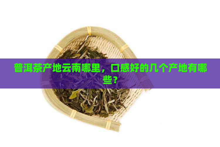 普洱茶产地云南哪里，口感好的几个产地有哪些？