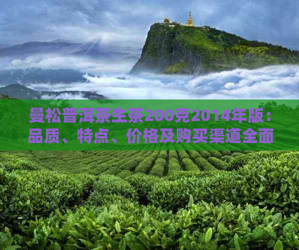 曼松普洱茶生茶200克2014年版：品质、特点、价格及购买渠道全面解析