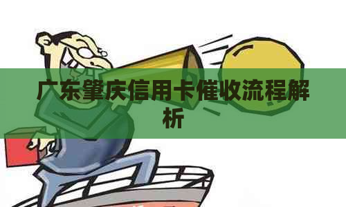 广东肇庆信用卡流程解析