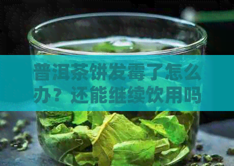 普洱茶饼发霉了怎么办？还能继续饮用吗？如何处理掉发霉的普洱茶饼？