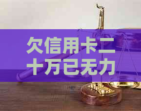 欠信用卡二十万已无力偿还