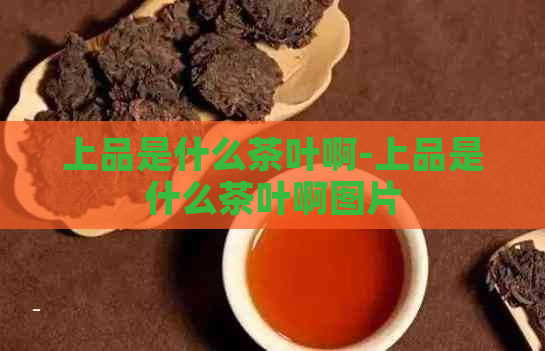 上品是什么茶叶啊-上品是什么茶叶啊图片