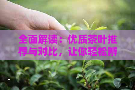 全面解读：优质茶叶推荐与对比，让你轻松辨别上品茶叶