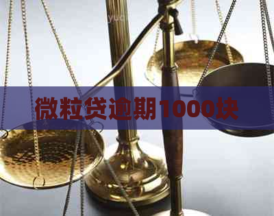 微立贷逾期1000块