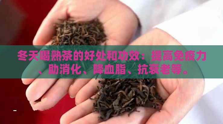 冬天喝熟茶的好处和功效：提高免疫力、助消化、降血脂、抗衰老等。