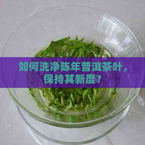 如何洗净陈年普洱茶叶，保持其新度？