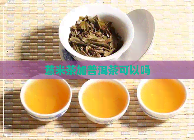 薏米茶加普洱茶可以吗