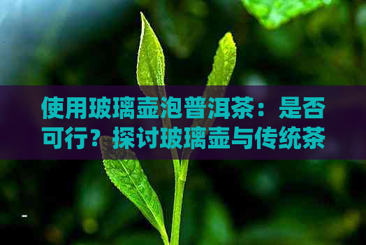 使用玻璃壶泡普洱茶：是否可行？探讨玻璃壶与传统茶具的优缺点对比