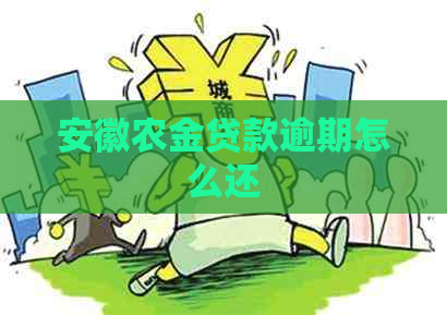 安徽农金贷款逾期怎么还