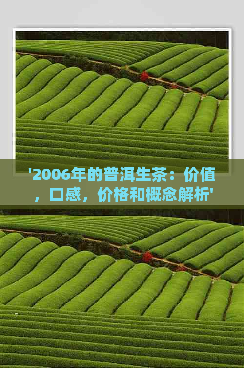 '2006年的普洱生茶：价值，口感，价格和概念解析'