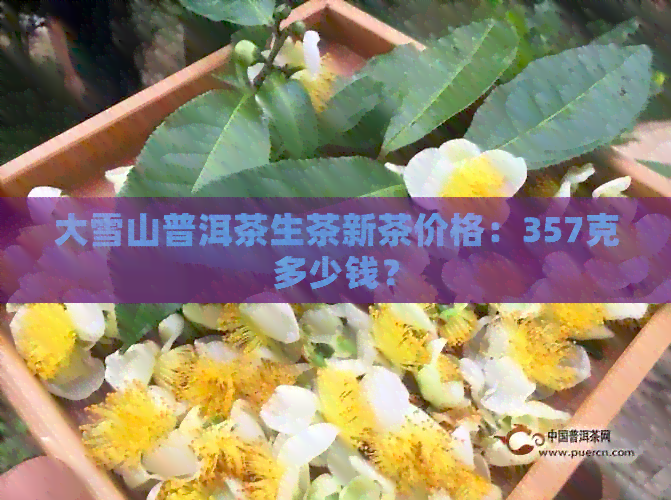 大雪山普洱茶生茶新茶价格：357克多少钱？