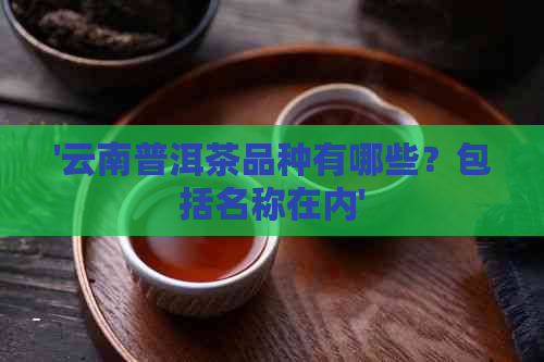 '云南普洱茶品种有哪些？包括名称在内'